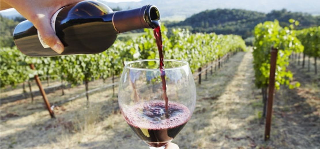 Viñas familiares de El vino de mi sobrino